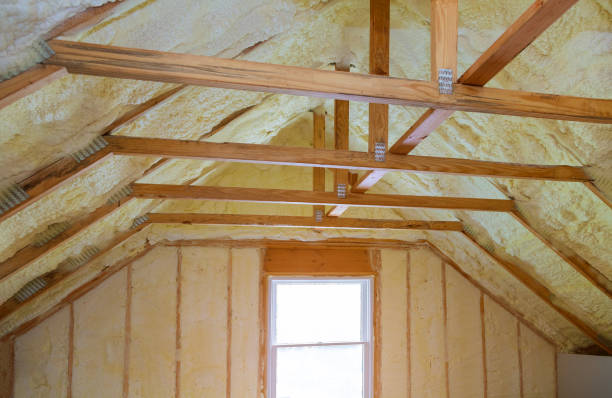 Best Fiberglass Insulation  in La Grange, NC