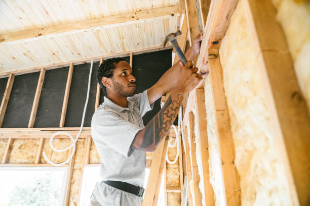 Best Insulation Contractors for Homes  in La Grange, NC