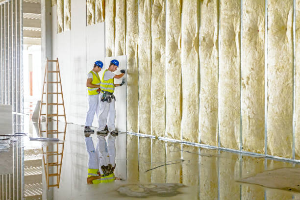 Best Affordable Insulation Services  in La Grange, NC